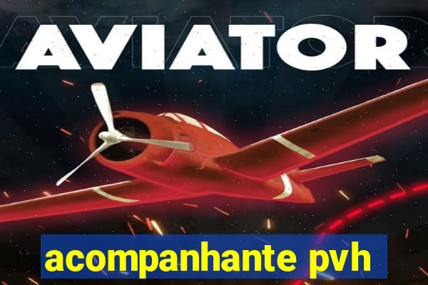 acompanhante pvh